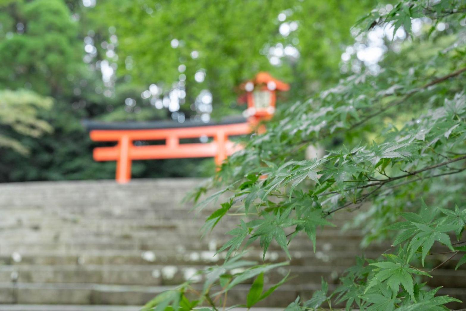 Kirishima Momijidani Seiryuso Hotel Exterior photo